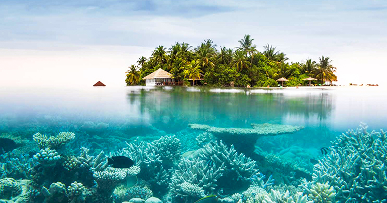 HIGHLIGHTS OF MALDIVES & SRILANKA