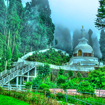 plan a darjeeling trip with travel agents in kolkata